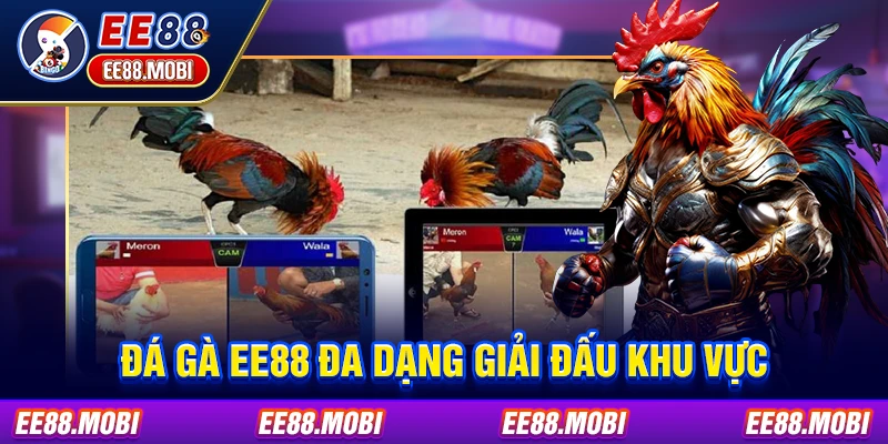 Đá gà EE88 đa dạng giải đấu khu vực