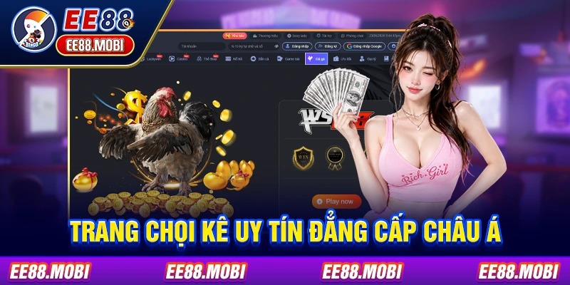 Trang chọi kê uy tín đẳng cấp châu Á