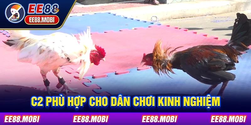 C2 phù hợp cho dân chơi kinh nghiệm C2 phù hợp cho dân chơi kinh nghiệm