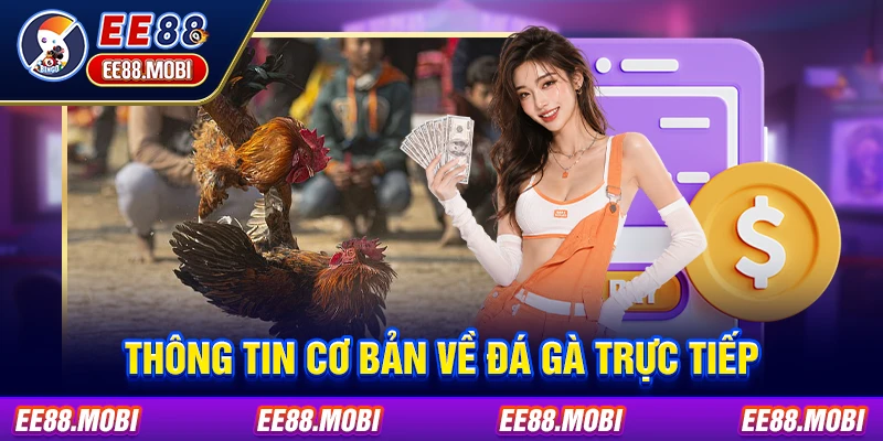 Thông tin cơ bản về đá gà trực tiếp Thông tin cơ bản về đá gà trực tiếp